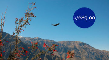 Arequipa 5D4N – Colca canyon- Colca valley