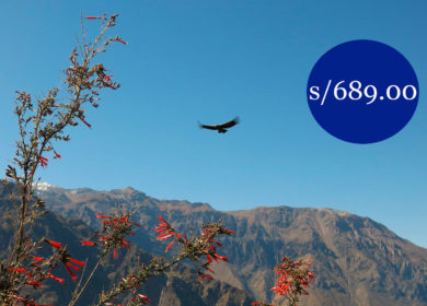 Arequipa 5D4N – Colca canyon- Colca valley