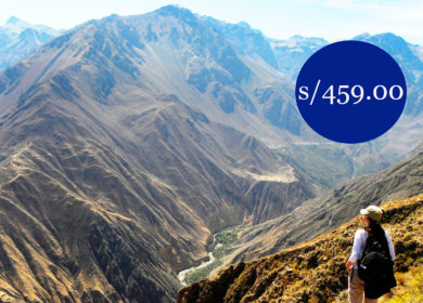 Arequipa 3D2N – Campiñas – Cañón del Colca