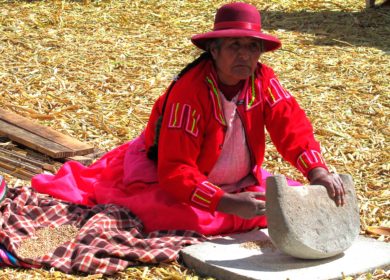 EL BATAN – LA LICUADORA ANDINA