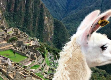 Escapate a Cusco – Machupicchu – montaña de colores